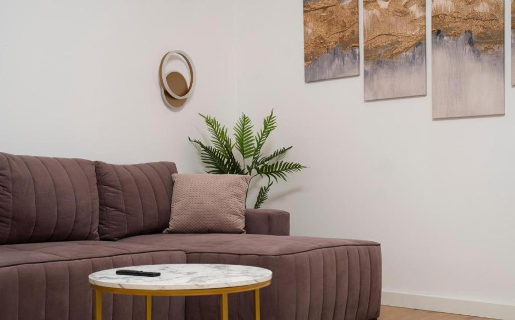 Coban Residence Apartments Braşov Buitenkant foto