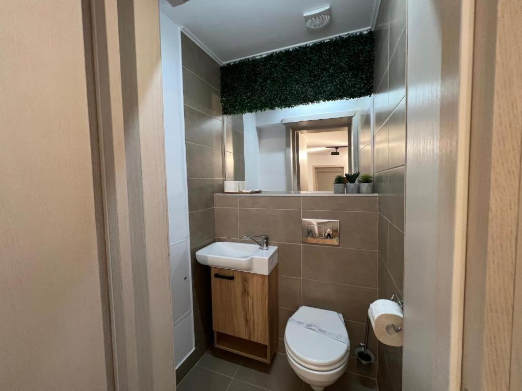 Coban Residence Apartments Braşov Buitenkant foto